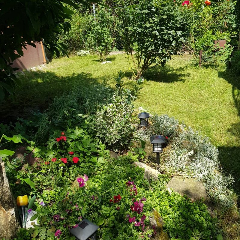 Daróczi-Dajka Hajnalka kertje 05